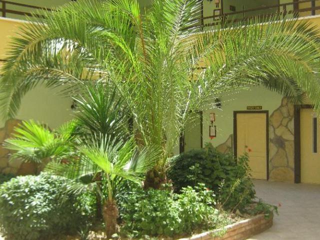 كوشاداسيه Oya Apartments المظهر الخارجي الصورة